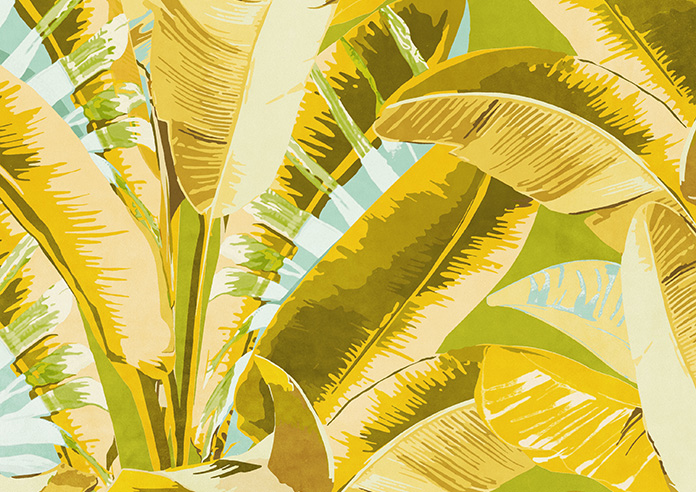 Rodeo Drive, Yellow - Roman Blind - Image 7